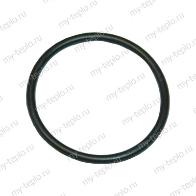 Термекс Резиновое кольцо ТЕНа 6 кВт ER 200-300л (22) (SpT068998)