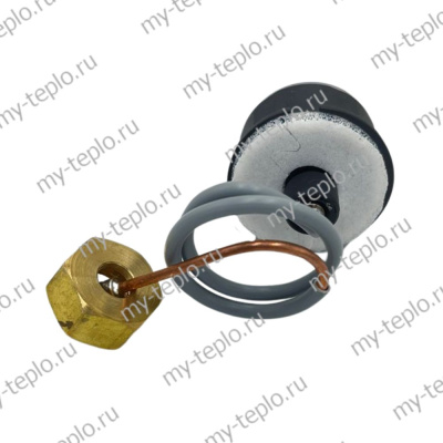 Манометр для котлов Baxi, аналог 8922460 (CPG28-B)
